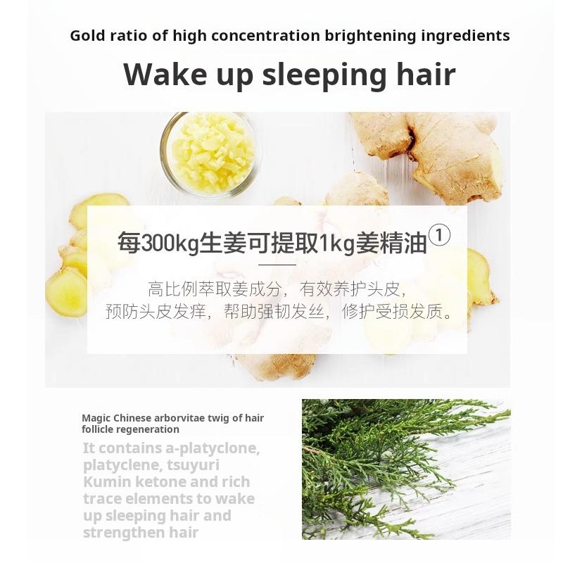 Ginger Essence Hair Conditioner for Soft Smooth Hair, 500ml Pump Bottle