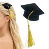 1 шт. Выпускная кисточка на шапку Зажим для волос Мини-колпачки доктора Зажим для выпускной шапки Вечеринка Объемный головной убор Украшение для волос на выпускной