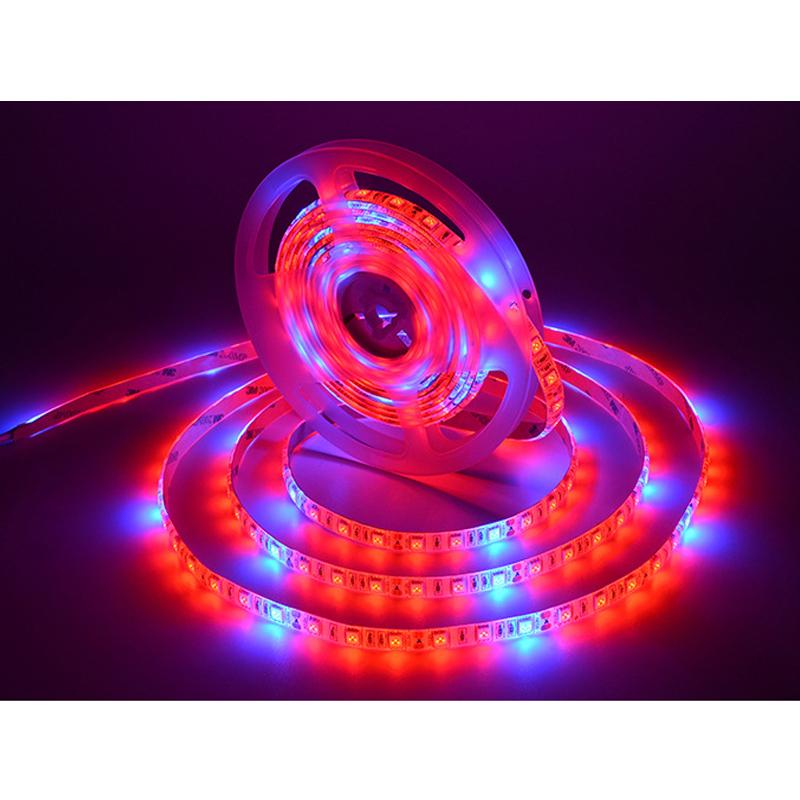 LED Grow Strip 5M/roll Waterproof Red Blue Phyto Lamp 300LEDs 12V 5050 Chip Growth Lights Fitolamp For Indoor Flower Plant Lamp