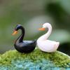 10pcs Black White Swan Miniature Figurine Cartoon Love Ducks Decoration Mini Fairy Garden Animals Statue Home Desk Ornaments