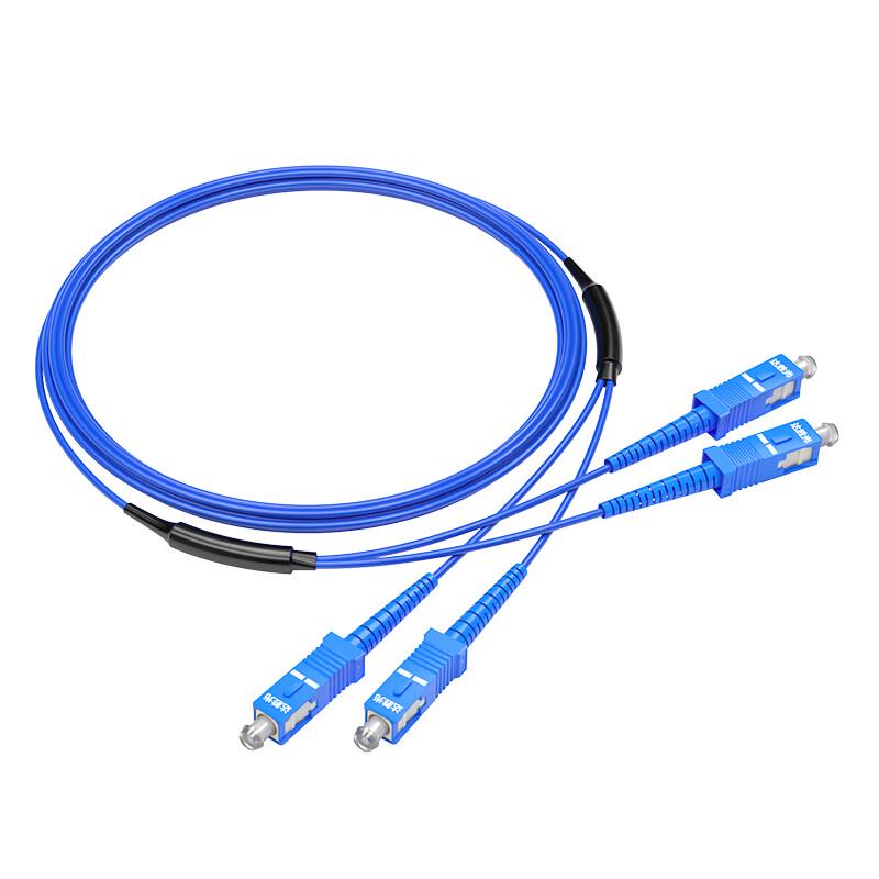 Dasheng Light Telecom-Grade Armored Fiber Patch Cord