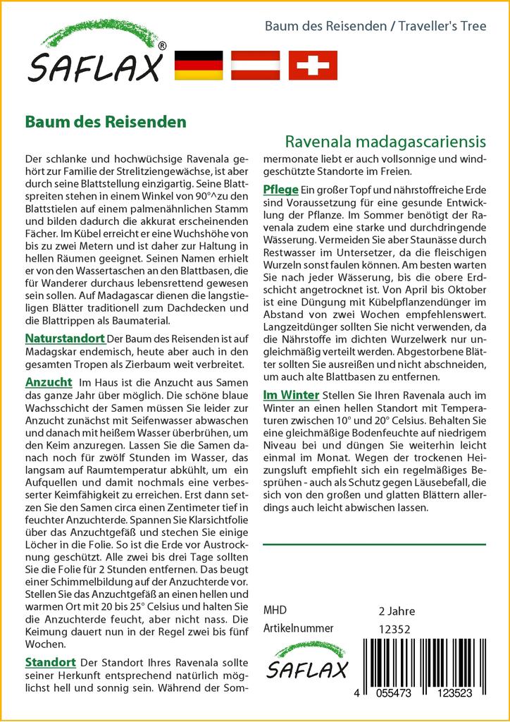 SAFLAX Дерево путешественника - 8 семян - Ravenala madagascariensis