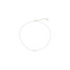 2025 Women's Chic Light Luxury Collarbone Chain: Elegant Ins Style Choker