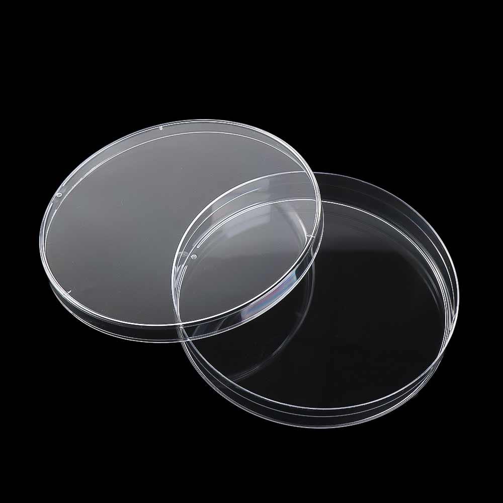 55x15mm 90x15mm Clear Petri Dish Sterile Petri Dishes Petri Dishes Bacteria Culture Dish