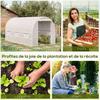 Garden Tunnel Greenhouse 8m², Tunnel Garden Greenhouse with Door and 6 Windows, PE Cover 140 g/m² 400 x 200 x 200 cm White
