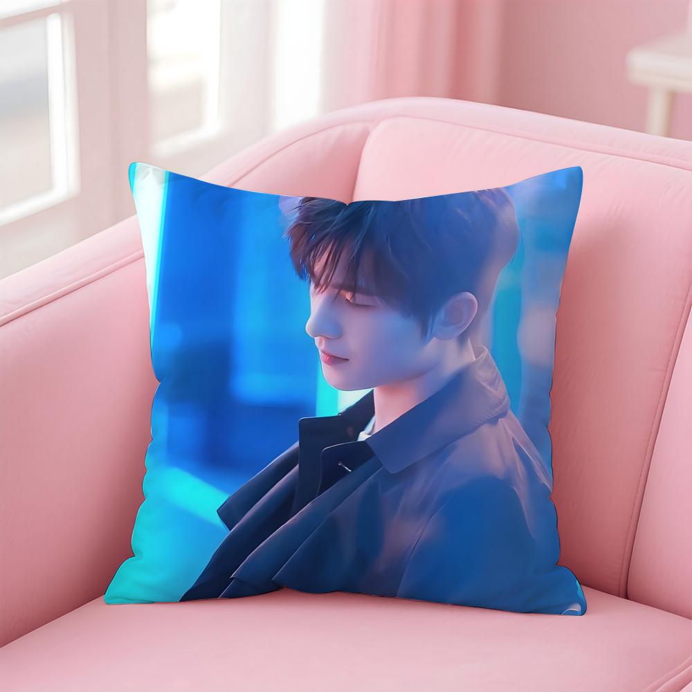 actor handsome YYang Yang Cushion Cover Pillow Case Soft Skin Friendly Fabric Concealed Zipper