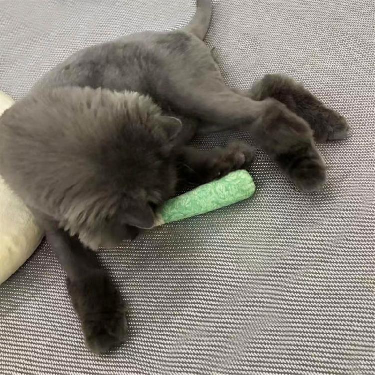 Кошки Кошачья мята Игрушка Безопасная Для котят Прорезыватель для зубов Игрушка-пиналка Снимающая стресс Приводит скучающих кошек в восторг Подарок