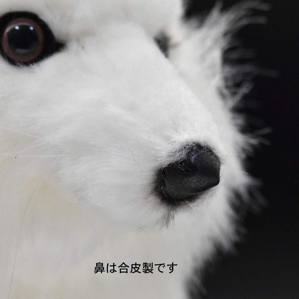 BH6823 HANSA Arctic Fox 30