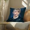 S-Strayskidssf-Felixs Pillow Case Pillowcase, Double-Sided Printed, Sofa Cushion, Bedroom Headboard