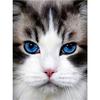 5D Diamond Painting Cat Rhinestones Diamond Embroidery Mosaic Full Round Drill Cross Stitch