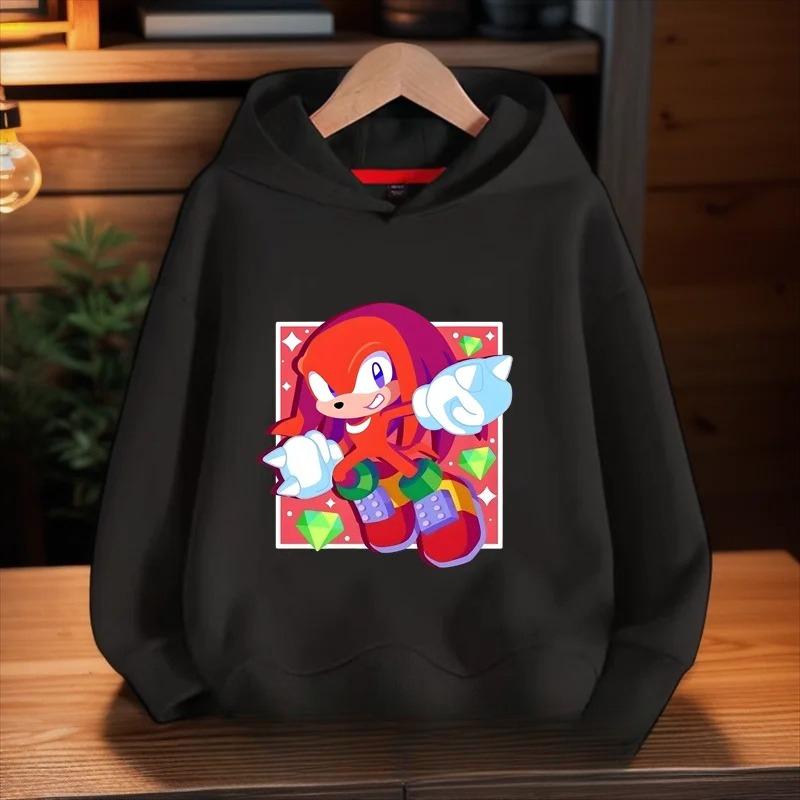 Casual Kids Hoodie with Colorful Cartoon Hedgehog Friends Group Art Print, Long Sleeve Soft Sweatshirt, Nice Gift for Boys Girls Daily Wear.