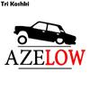 Tri Koshki H1480 AZELOW ВАЗ 2107, автомобильная наклейка, виниловые наклейки, светоотражающая наклейка на автомобильный бампер, ноутбук, холодильник, настенная дверь
