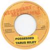 7inch Record TARRUS RILEY - Possessed NMREC43 Necessary Mayhe 2012 UK Reggae, Ska & Dub