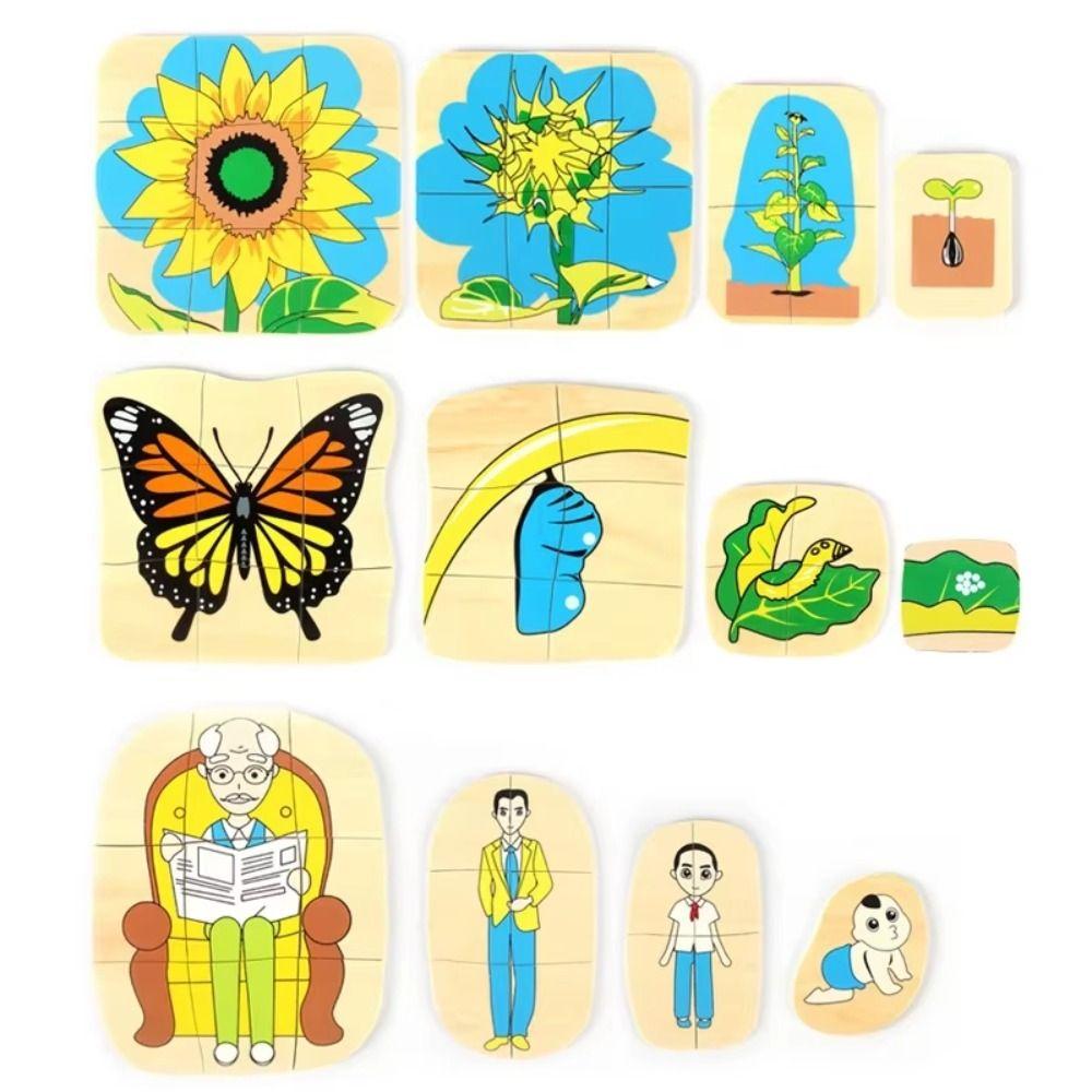 Montessori Multi-Layer Jigsaw Cognitive Growth Puzzles Wooden Toys Kindergarten Kids
