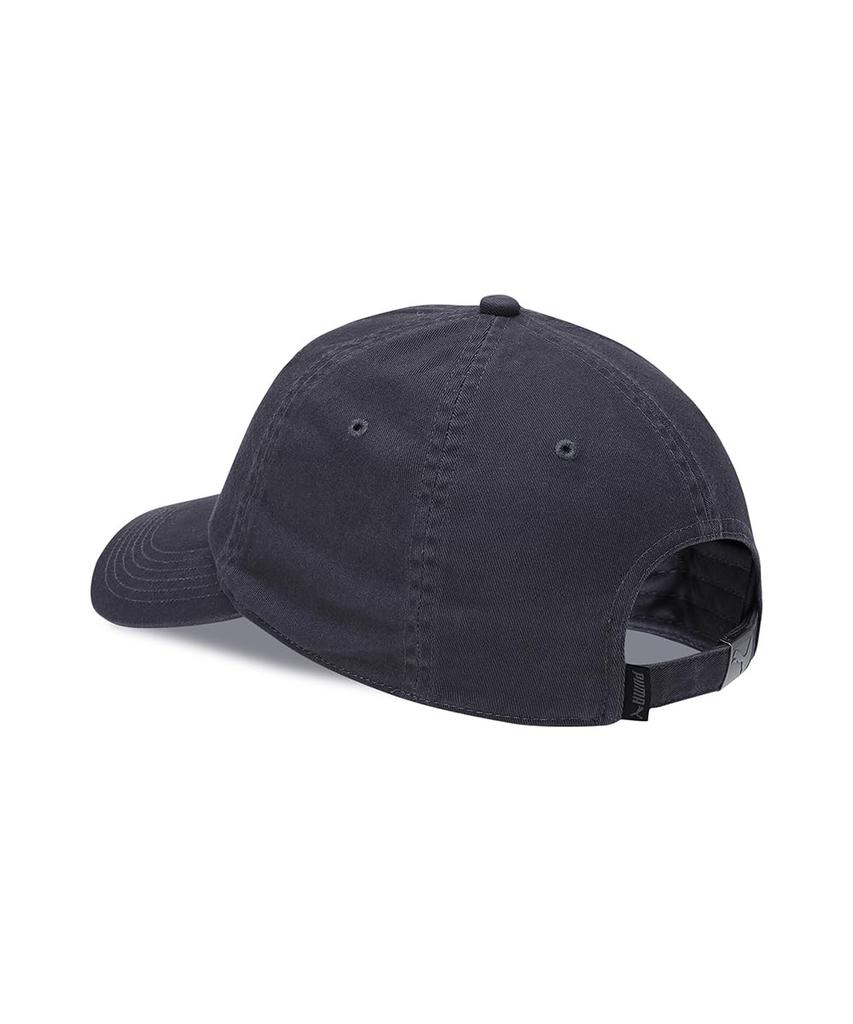 Classics Elevated Dad Cap_02550601_AD