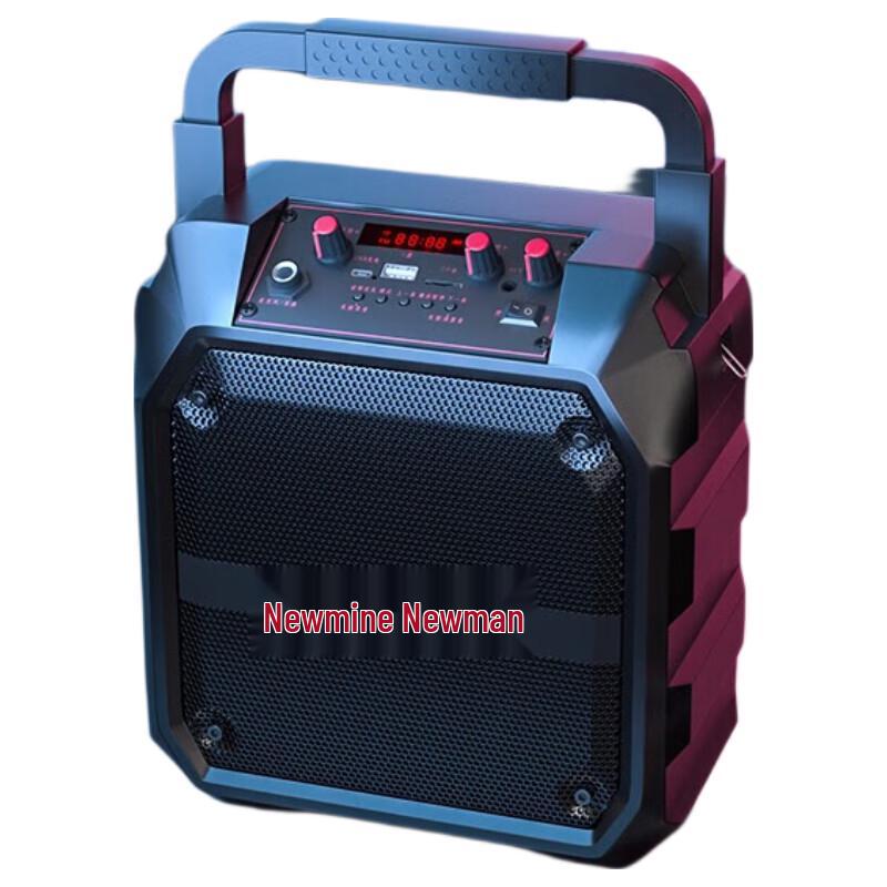 Портативная Bluetooth-колонка Newman K97 с радио и караоке, штекер CN (адаптер в комплекте)