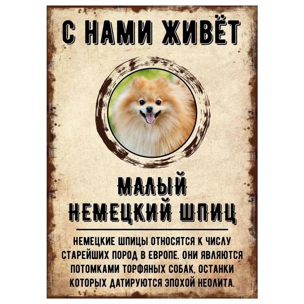 ОСТОРОЖНО СОБАКА Забавная Шнауцер Металлическая Табличка Декор для Питомца 20x30см