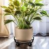 Flower Pot Rolling Stand, Lockable Cart for Potted Plants, Vases, Heavy Pots