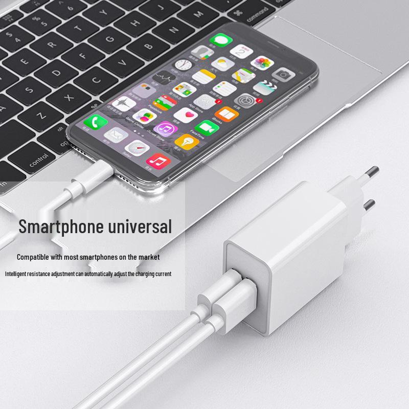 Двойное USB-зарядное устройство 5 В 2 А с вилкой EU/US и сертификатом CE для телефонов Android