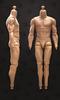 Toy Hobby Action Figure Compatible with COOMODEL Isoprime Body 23TOYS Male Body Action Body Limb [TOYBARJAPAN] 1/6 BD001/02/03/04/05/06 (excluding