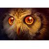 Diamond Painting Universe In Eye of An Owl Embroidery Handicrafts Diamond Embroidery Wall Arts
