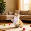Игрушка-дразнилка для кошек Плюшевая гусеница Компаньон для котят Игрушка-грызунок для питомца Палочка-дразнилка для чистки зубов Интерактивная игрушка для кошек Аксессуары