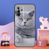 British Shorthair Cat Case For Samsung Galaxy A55 A16 A26 A36 A56 A54 A34 A14 A15 A35 A52 A12 A32 A13 A33 A53 A17