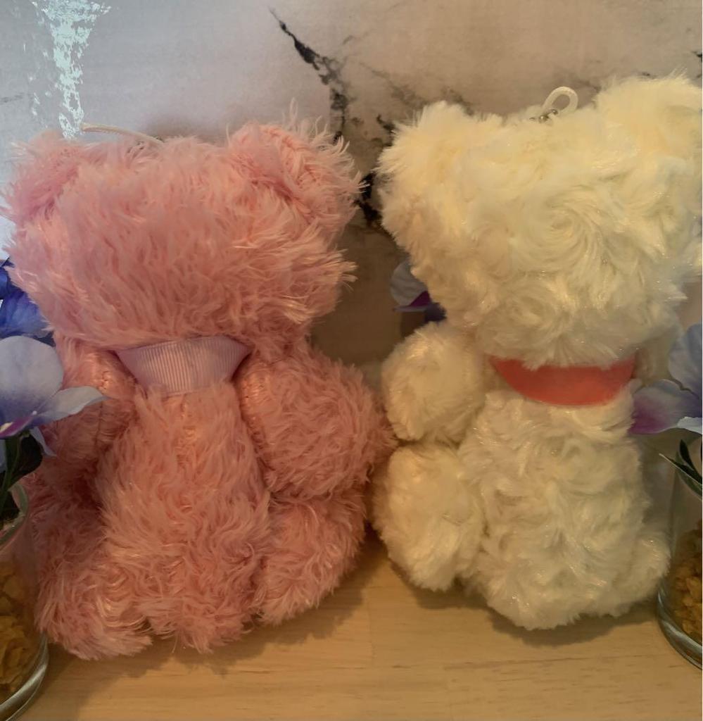 [USED] Teddy bear keychain