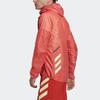 adidas Куртки Мужские Янтарные С капюшоном Умеренные Другие H11744
