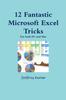 The 12 Fantastic Microsoft Excel Tricks Book