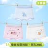 Girls' Ice Silk Underwear