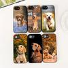 Golden Retriever Dog Phone Cover Soft Case for Samsung Galaxy S25 S24 S23 FE Ultra Plus S7 Edge S25+ S23+ A56 5G Casing