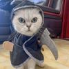 Костюм для косплея кошки на Хэллоуин, моющийся плащ смерти, накидка, нарядная одежда, реквизит для вечеринки, аксессуары