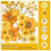 Handmade Resin Pressed Flower Bookmark DIY Kit: Transparent Specimen Stickers & Dried Flowers for Students