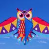 Long Tail Colored Owl Kite Easy To Fly Plastic Flying Toy New Children's Kite  Outdoor Sports