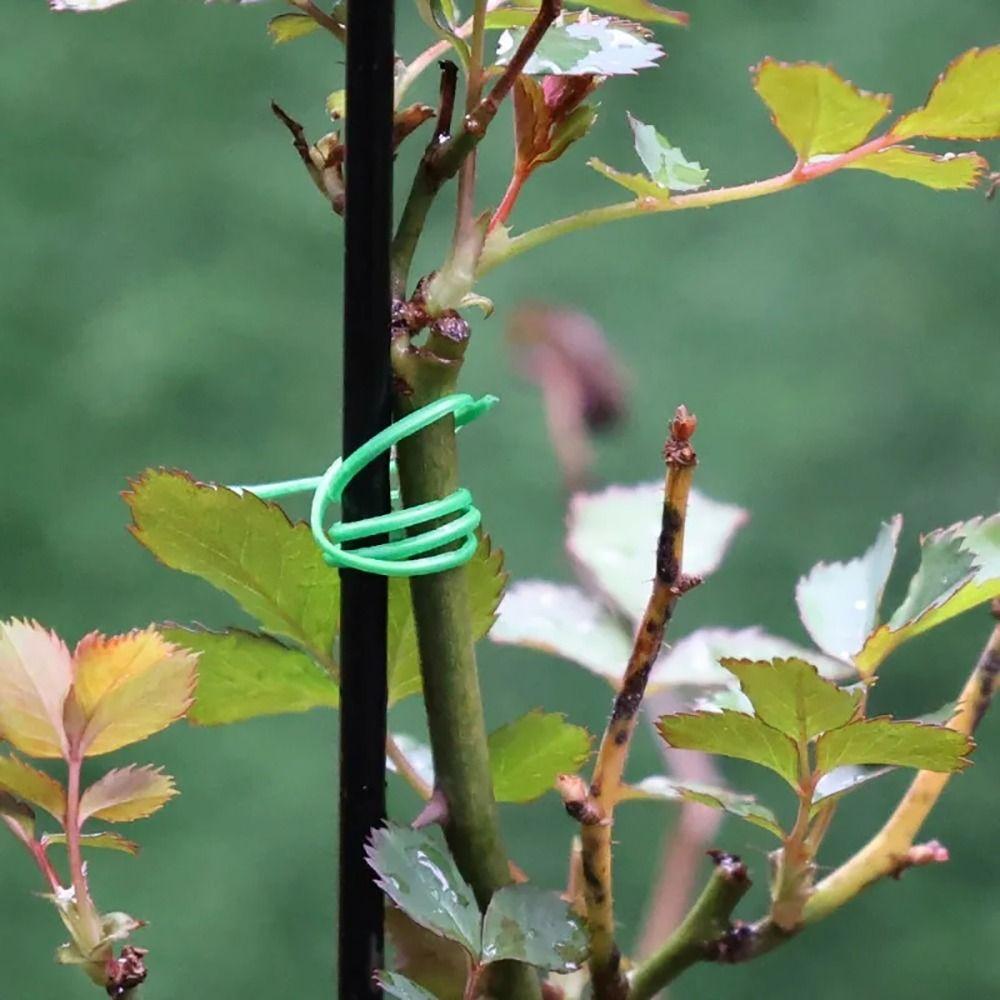 1Pcs Strapping Self-cutting Garden Twist Ties Plant Climbing Lines  For Flower Plant Vines