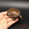 Сплошная фигурка Симуляция Мини Милый Маленький Рыба Юань Старая Медь Ручной Черепаха Чайный питомец