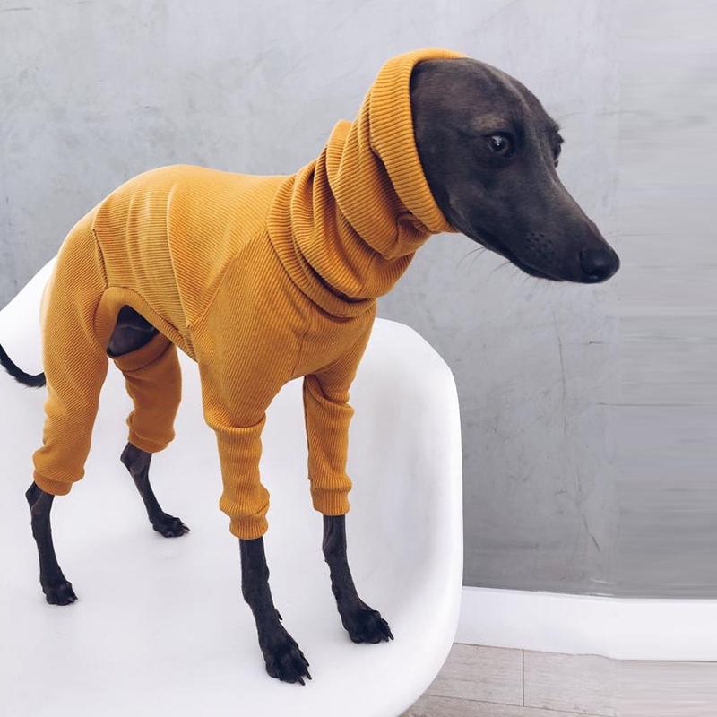 Italian Greyhound Winter Sweater Medium Large Dog High Neck Sweater Overalls Pet Warm Thicken Pajamas Sheepdog Jumpsuit Sweater