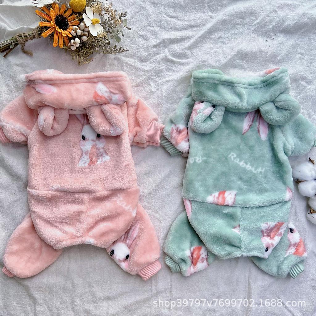 Dog Clothes Autumn and Winter Small and Medium Dog Double Sided Flannel Teddy Pomeranian VIP Piece Pet Clothing