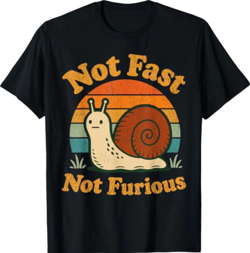 Not Fast Not Furious Funny Snail Pace Funny Retro Sunset T-Shirt