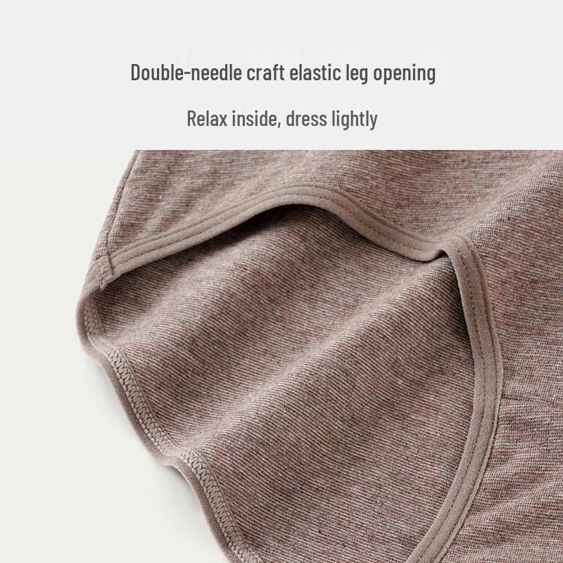 YOUNGYELL Women's 7A Antibacterial Cotton Underwear 4-Pack