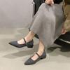 Fashion Autumn New Coarse Heel Shoes Women's Fashion Pointed Shallow Mouth Suede Anti-slip Wear-resistant Low-top Shoes
