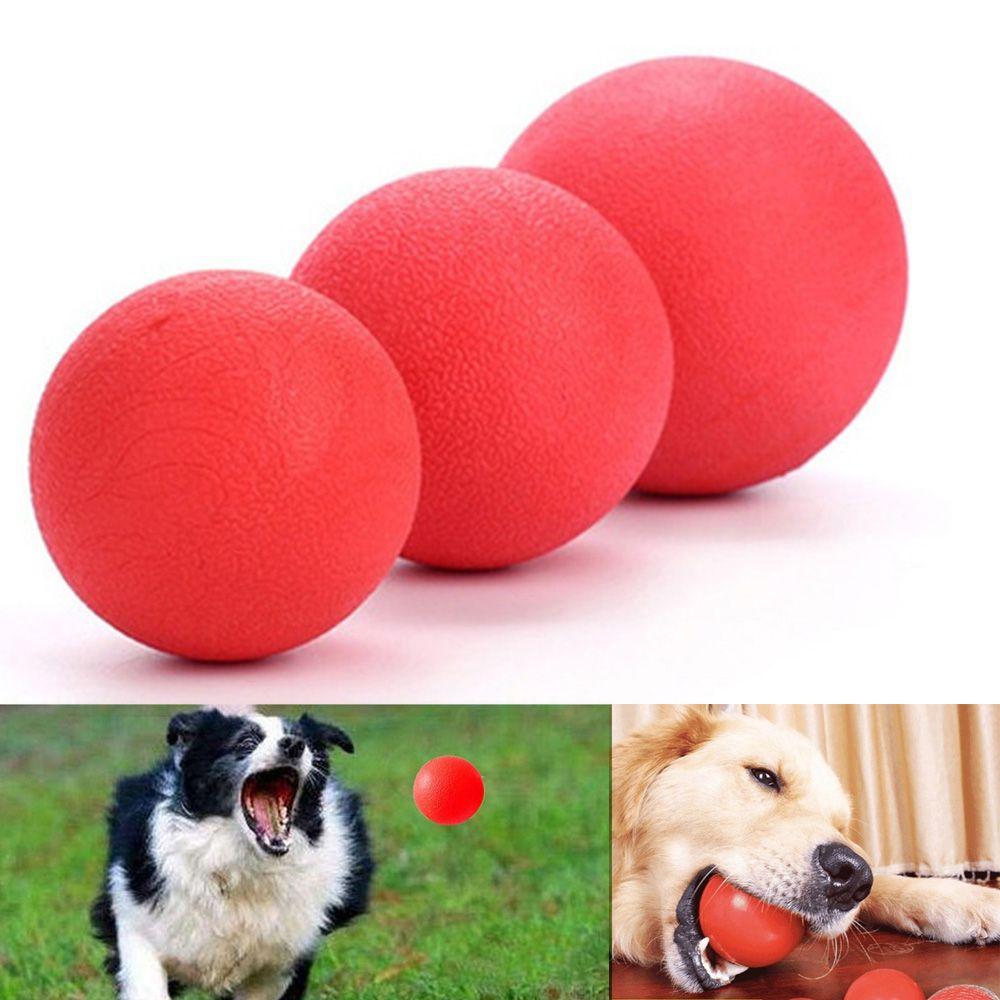 Твердый кошачий укус Товары для питомцев Жевательная игрушка Моляр для питомца Прыгающие мячи Собачий резиновый мяч