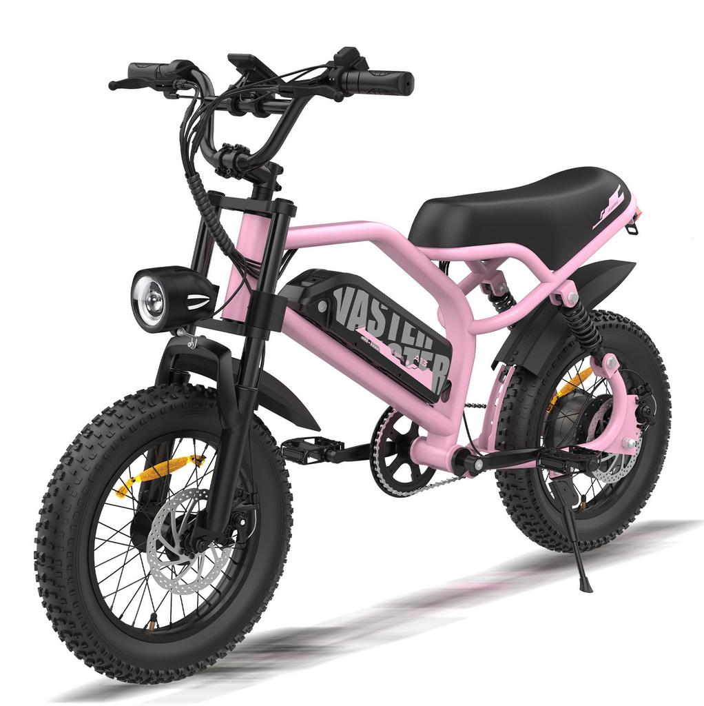 16 Inch Teenager Off-Road Electric Bicycle ALNSOOR A13 All-Terrain E-Bike 16 Inch Fat Tires 36V12.8Ah Battery Outdoor Riding Electric Bike