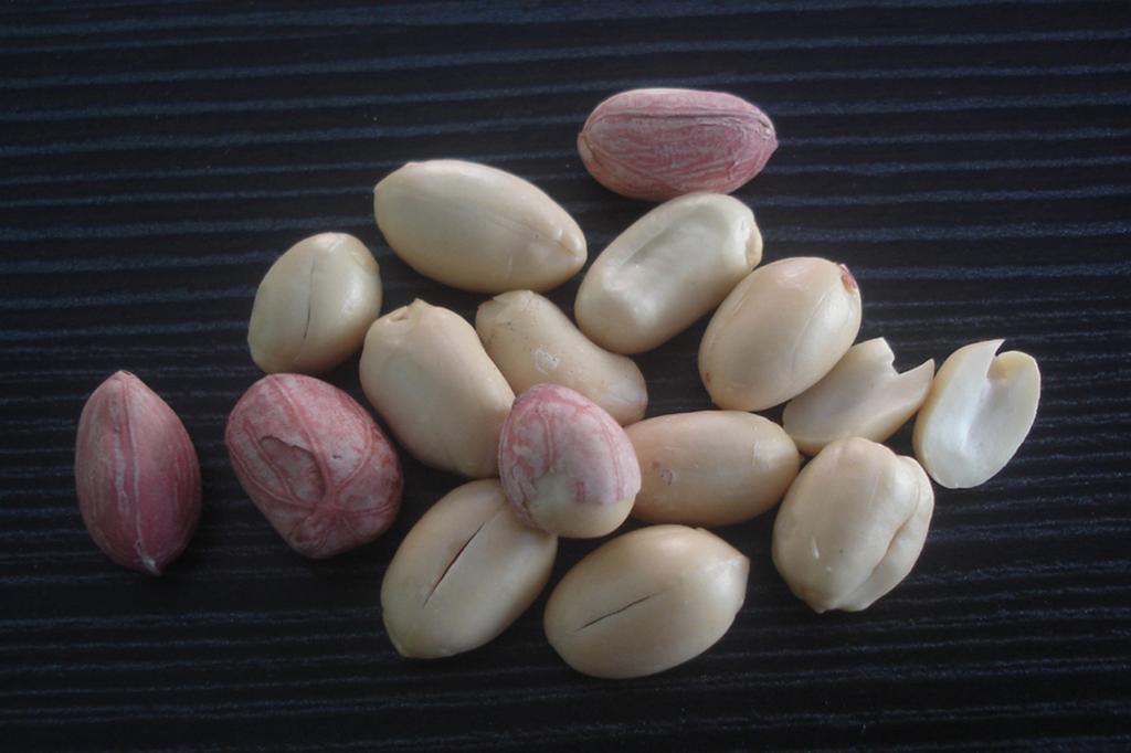 SAFLAX Арахисовое растение - 8 семян - Arachis hypogaea