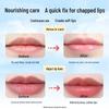 Sakose Imported Vaseline Papaya Moisturizing Lip Balm