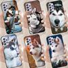 Animal Husky Puppy Phone Case For Samsung Galaxy A32 A12 A42 A52 A72 A11 A51 A71 A21S A20S A50 A70 A10 Cover