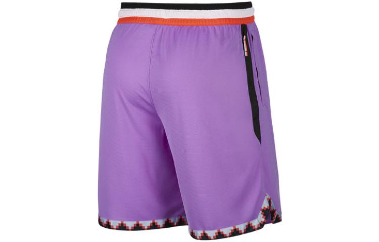 Nike Баскетбольные шорты мужские фиолетовые AT3151-505