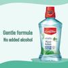 Colgate Energetic Mint Mouthwash 2-Pack