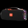 Newmen BT100 Мощная уличная Bluetooth-колонка для караоке (Китайская версия)